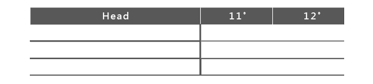 Future Force BELIEVE Driver table